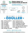 Dayanışma Piyangosu - &Ccedil;ekiliş Tarihi: 31 Aralık 2023